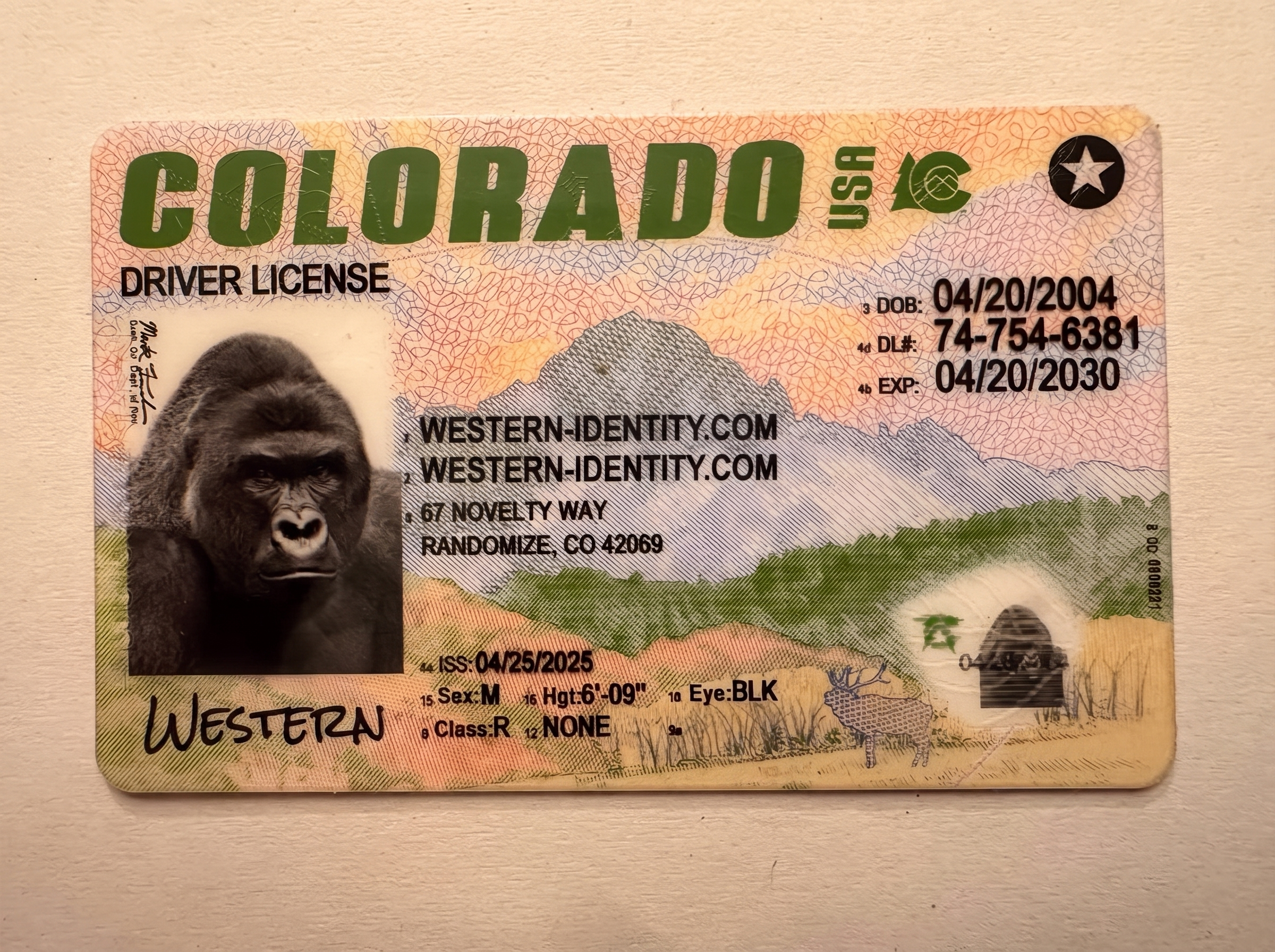 Colorado inspection product image placeholder