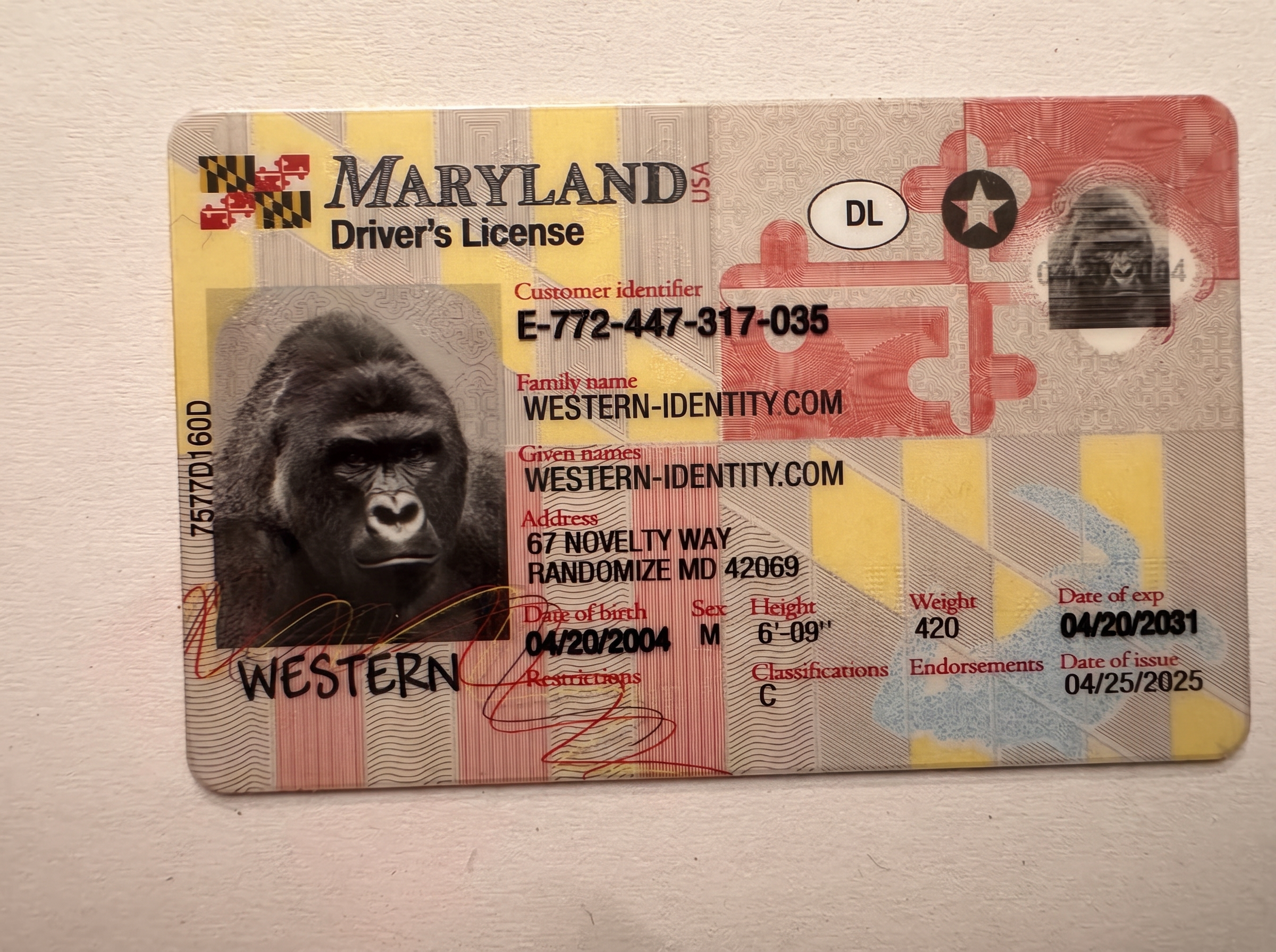 Maryland product image placeholder