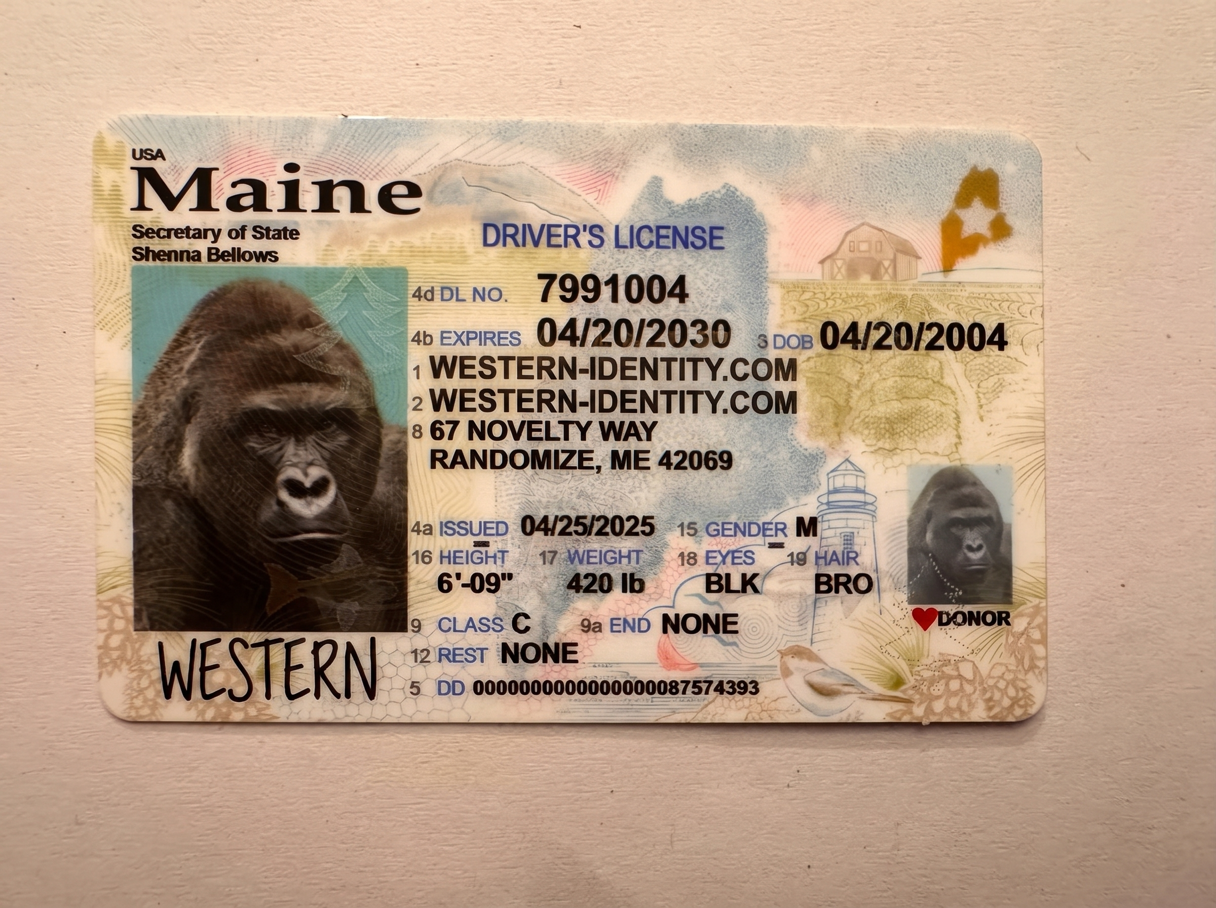 Maine product image placeholder