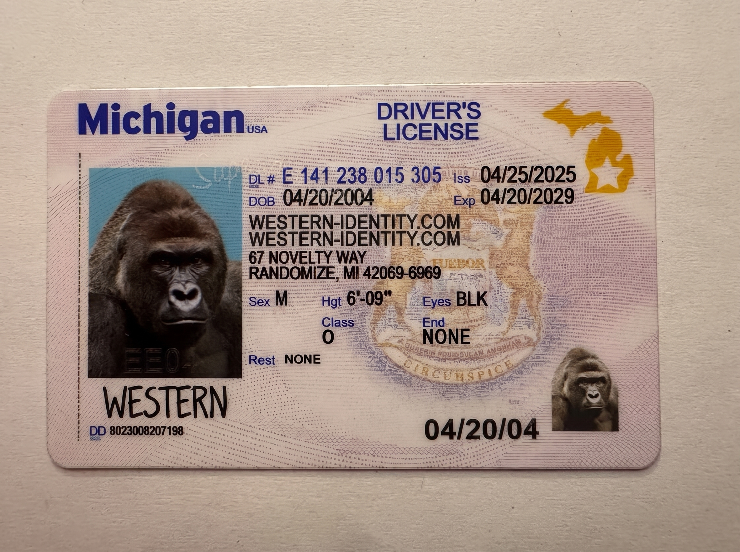 Michigan inspection product image placeholder