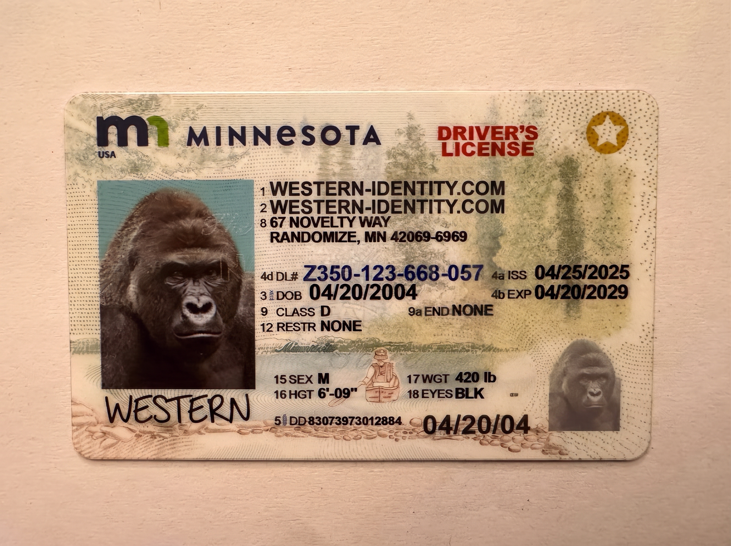 Minnesota product image placeholder