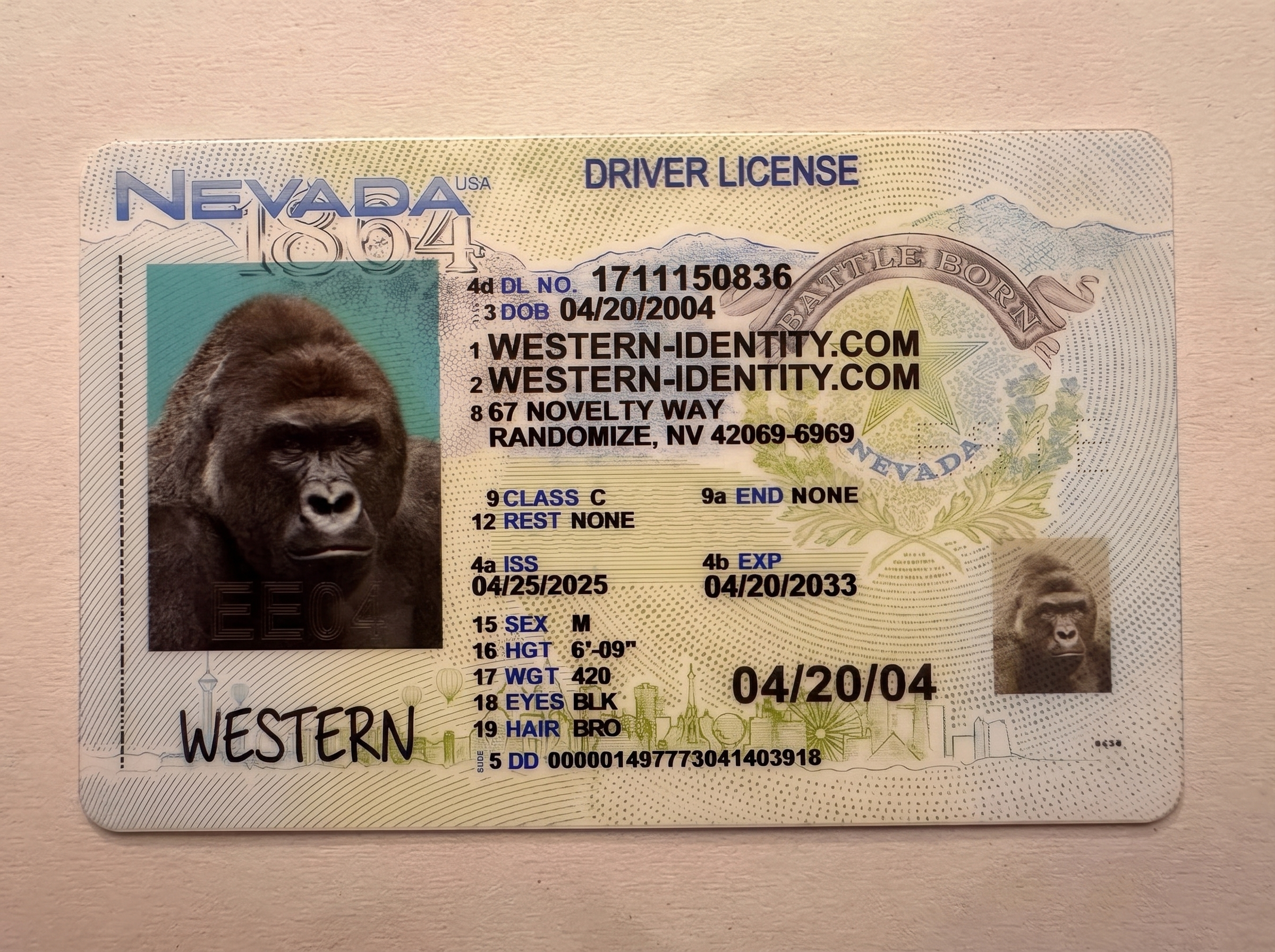 Nevada inspection product image placeholder
