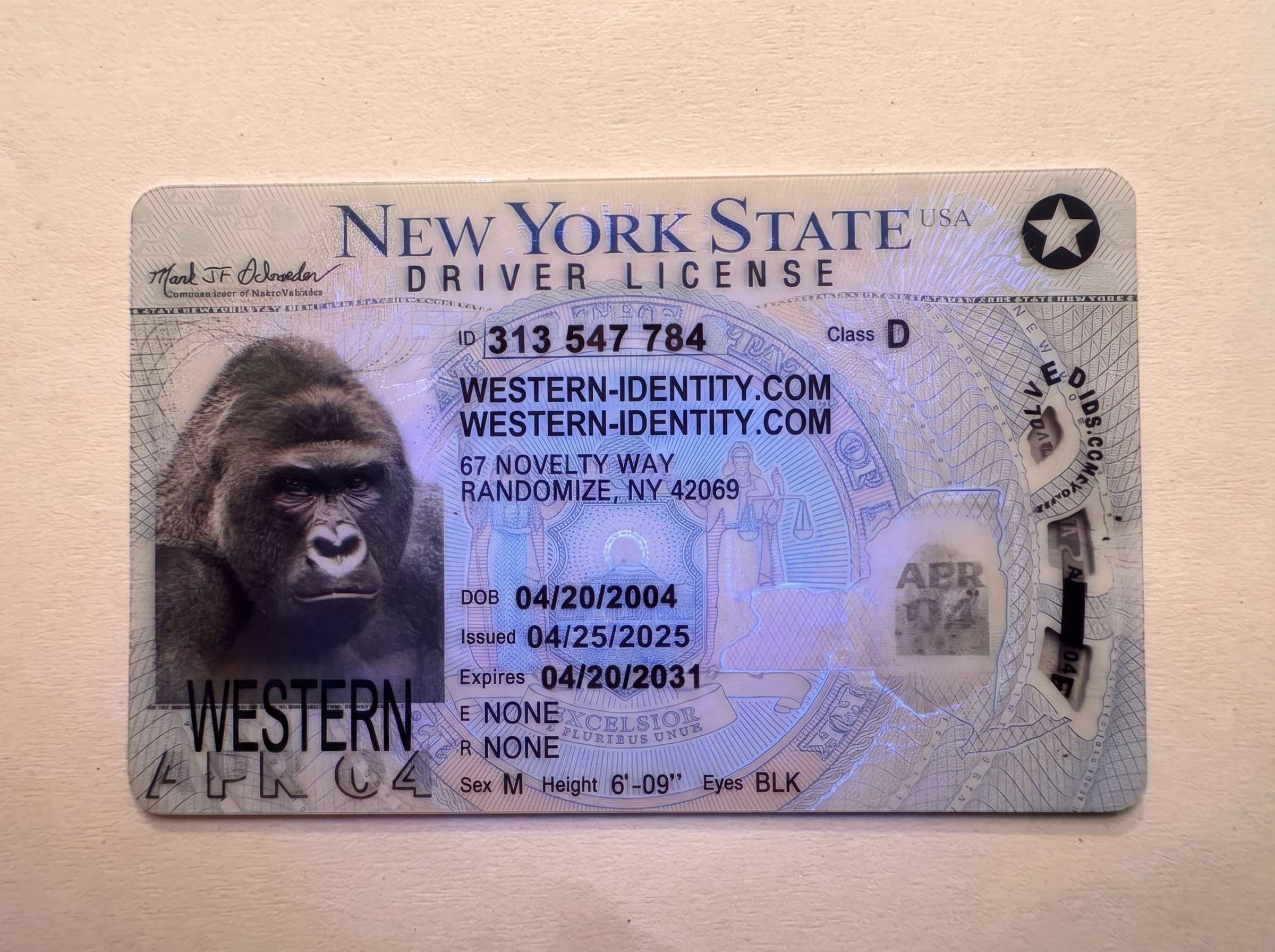 New York inspection product image placeholder